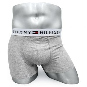 Мужские трусы Tommy Hilfiger серые T02