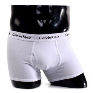 Трусы Calvin Klein 365 белые с белой резинкой
